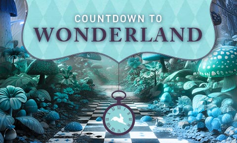 countdown to wonderland image