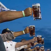 stein hoisting glasses