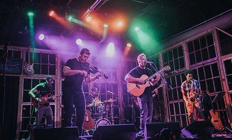 A Proud Monkey image