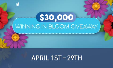 $30,000 Winning in Bloom Giveaway