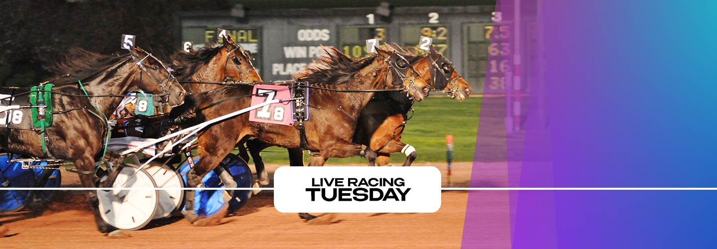 Live Harness Racing - Tuesday