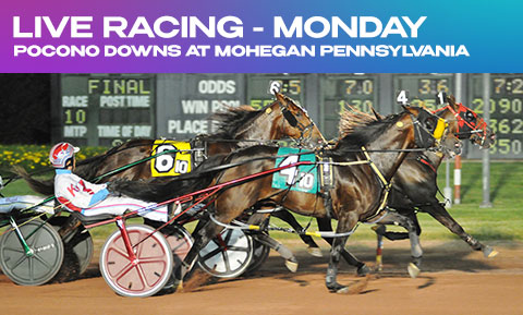 Live Harness Racing - Monday