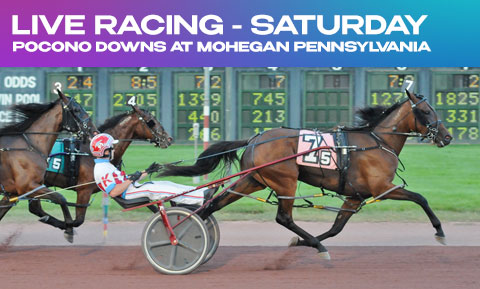 Live Harness Racing - Saturday