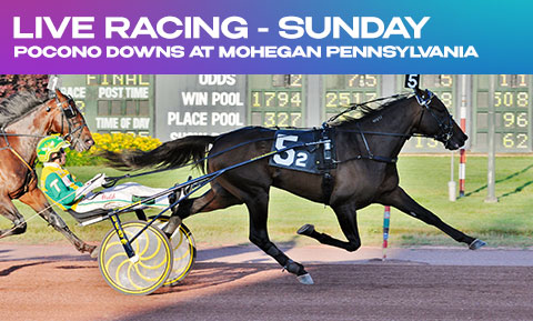 Live Harness Racing - Sunday