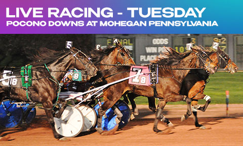 Live Harness Racing - Tuesday
