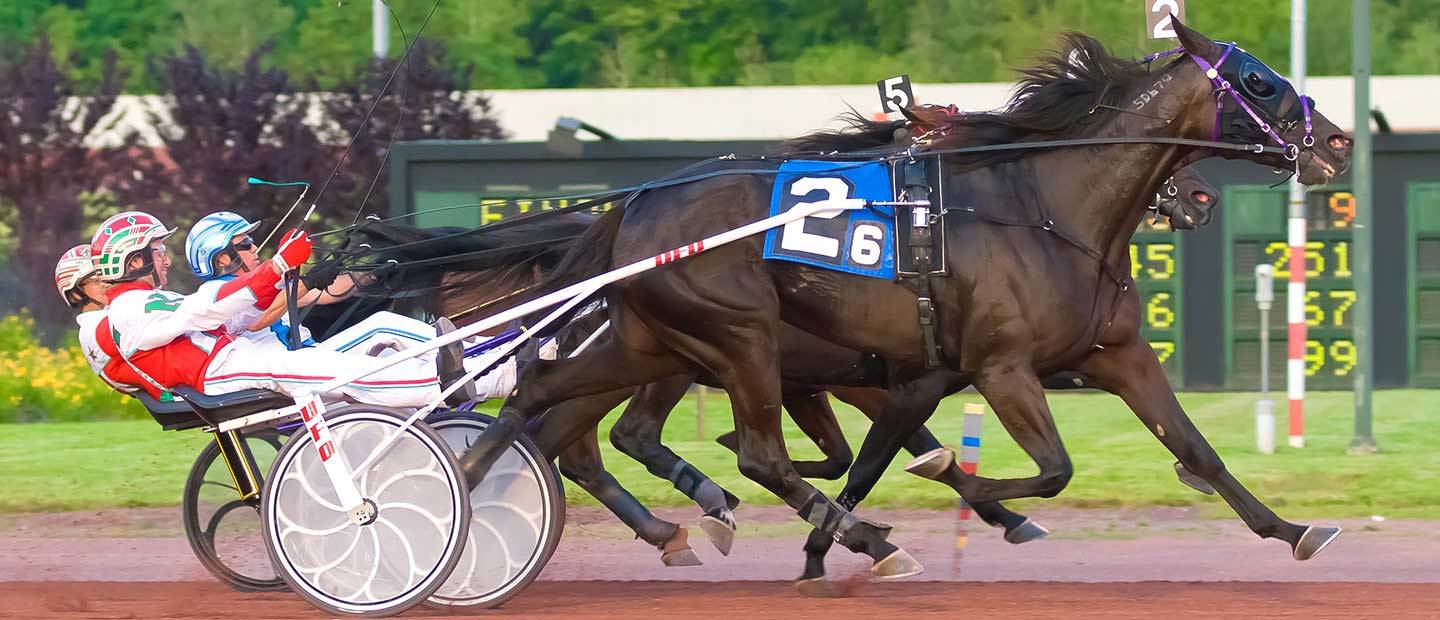 Live Harness Racing in Wilkes-Barre, PA Mohegan Pennsylvania