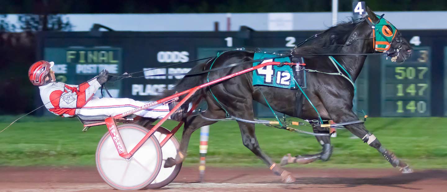 One Harness Horse Racer at The Downs at Mohegan Sun Pocono