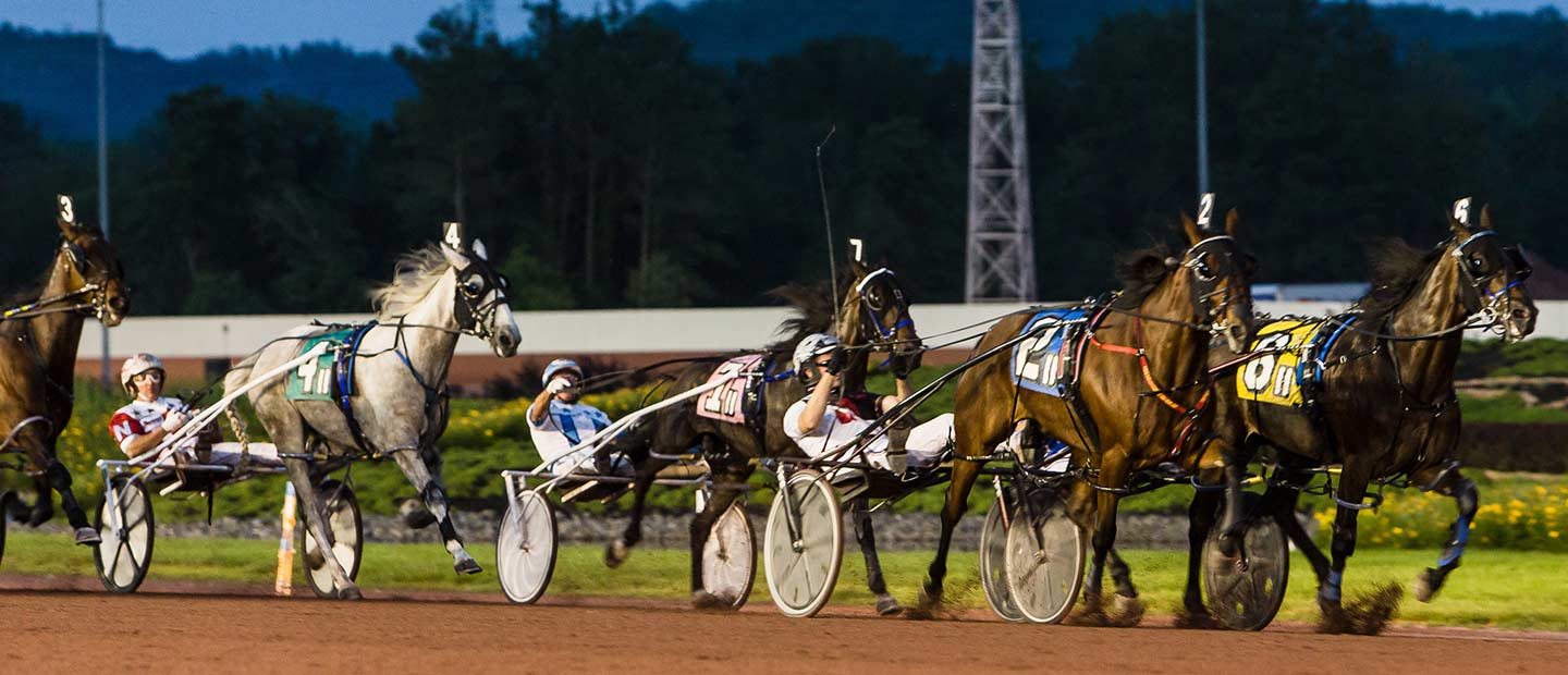 Night time Harness Horse Race