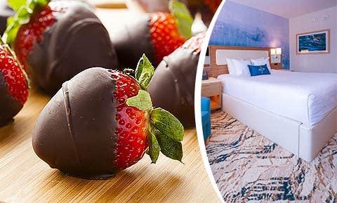 chocolate covered strawberries and Mohegan Pennsylvania hotel room